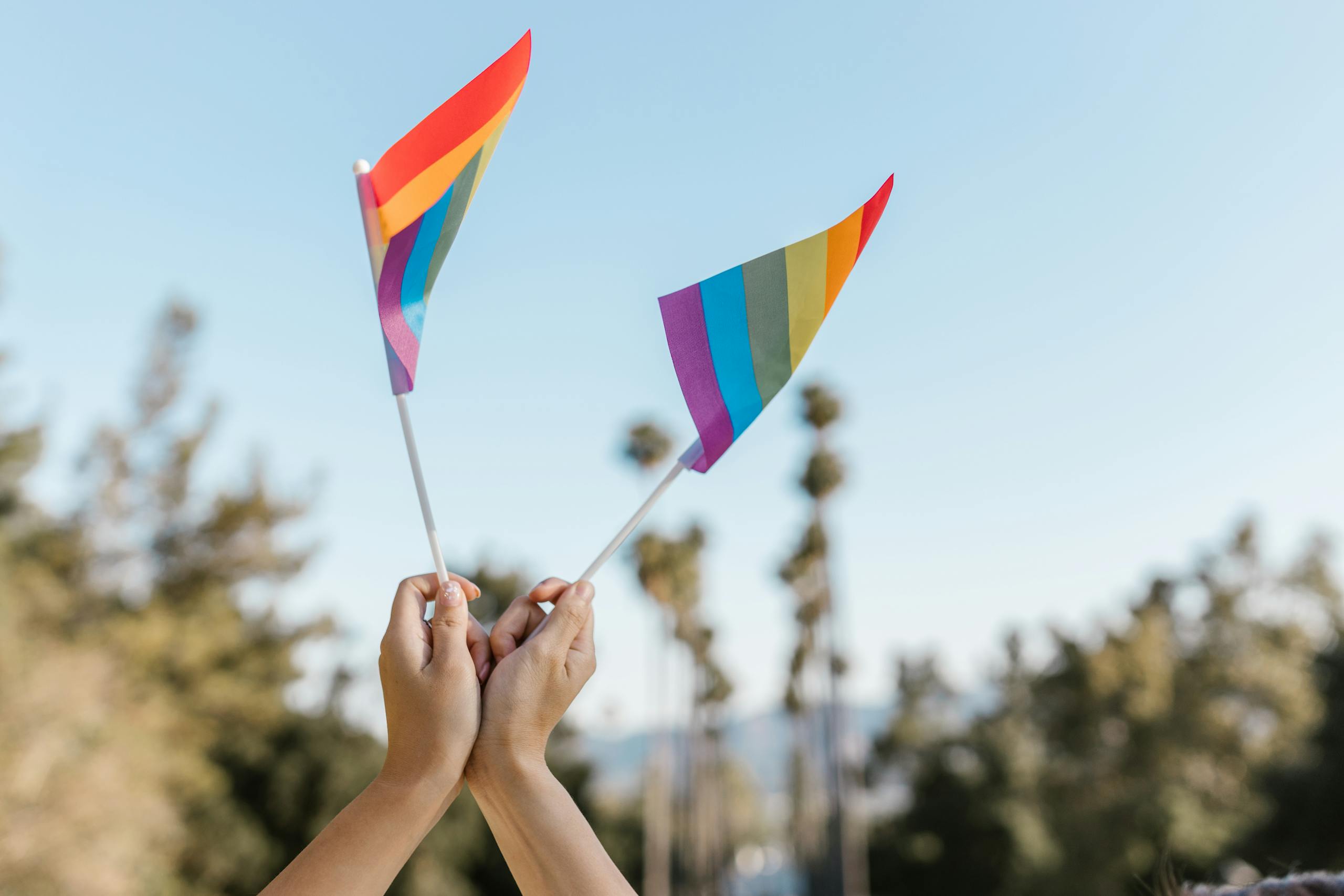 Hands holding rainbow flags outdoors, symbolizing pride and diversity.